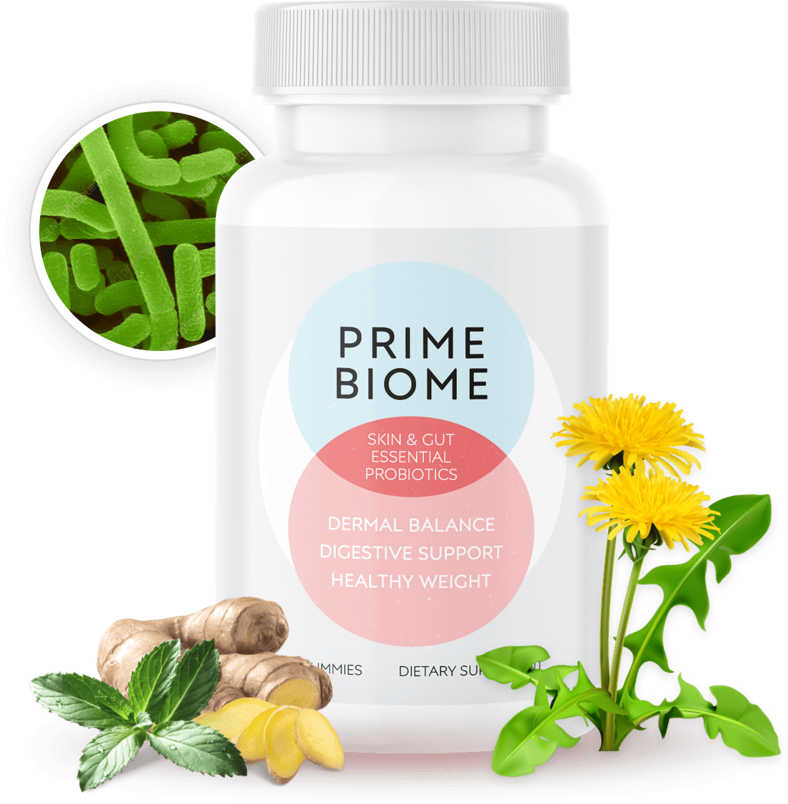 PrimeBiome probiotic gummy bottle